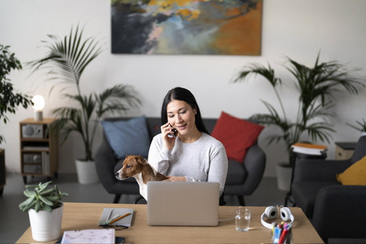 El Auge del Trabajo Híbrido y Remoto: Cómo Adaptarse a la Nueva Realidad Laboral